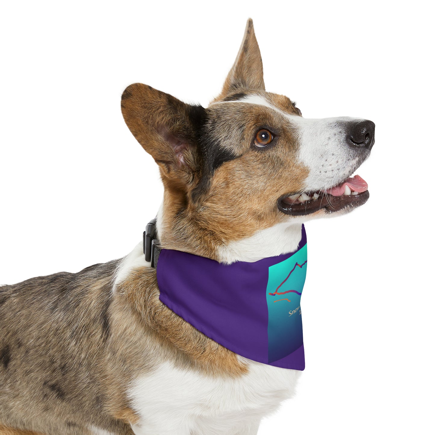 Snowmass Mountain 14er Pet Bandana Collar