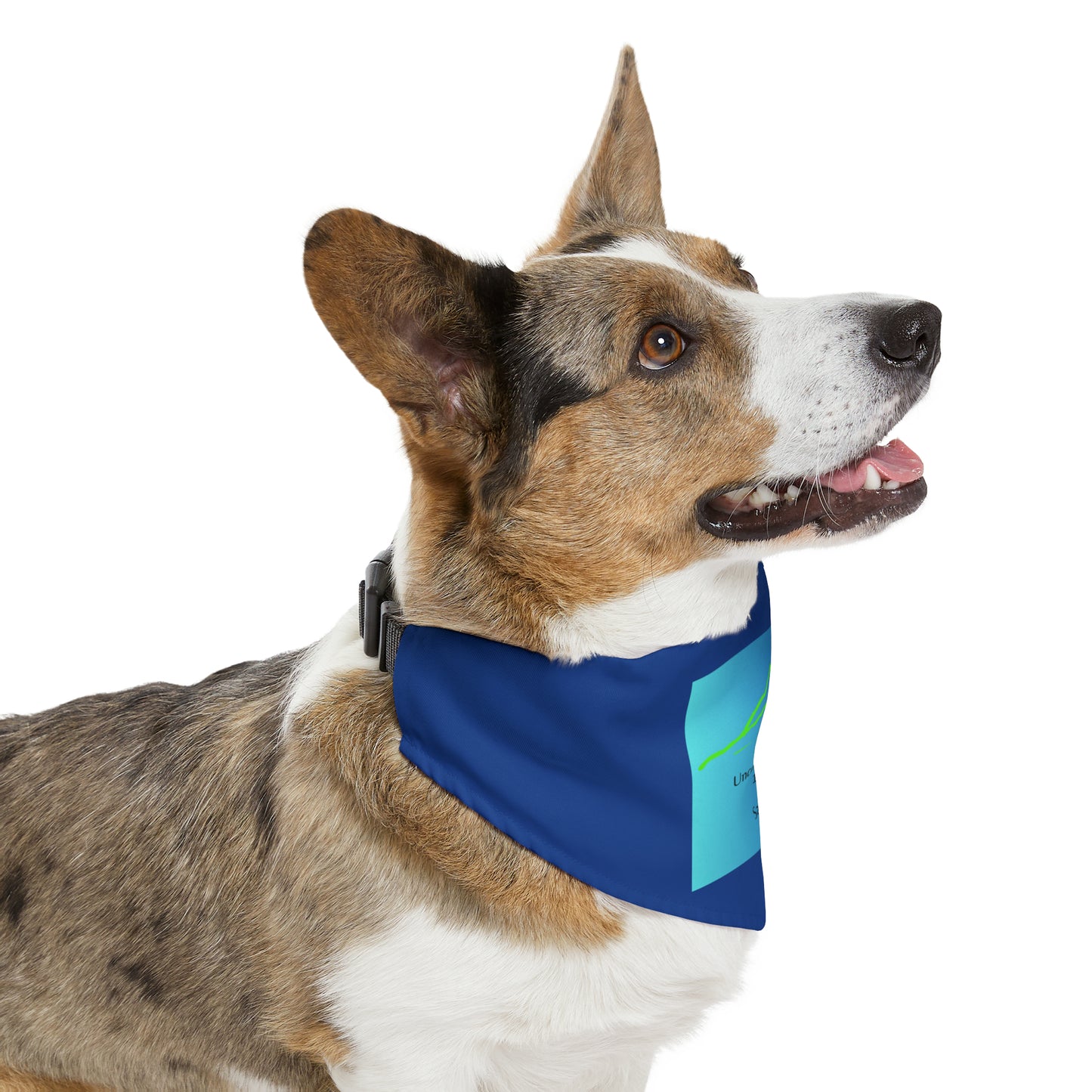 Uncompahgre Peak 14er Pet Bandana Collar