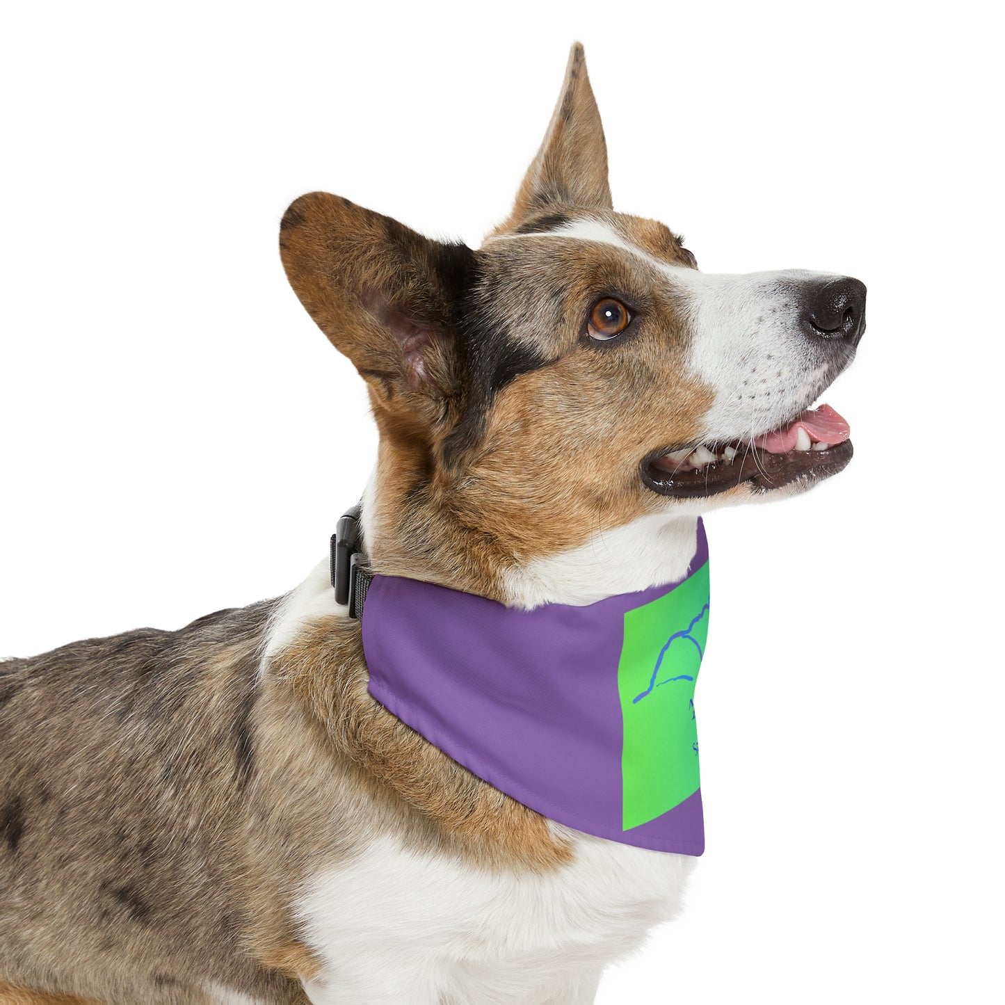 Mount Eolus 14er Pet Bandana Collar