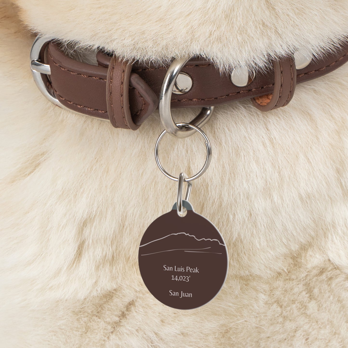 San Luis Peak Pet Tag