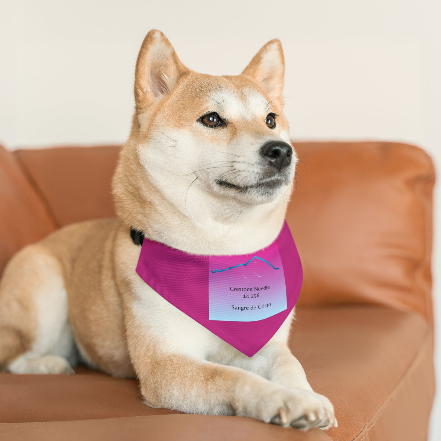 Crestone Needle 14er Dog Bandana 8