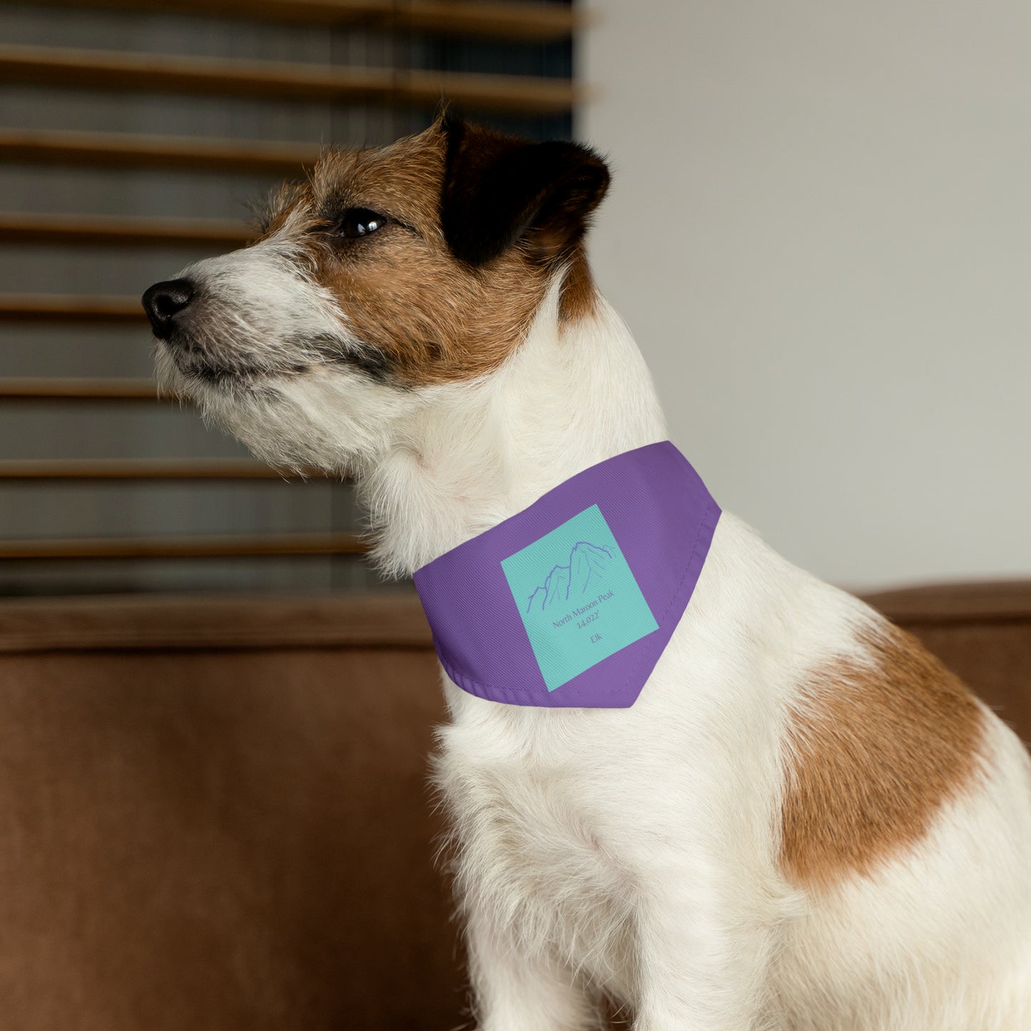North Maroon Peak 14er Pet Bandana Collar