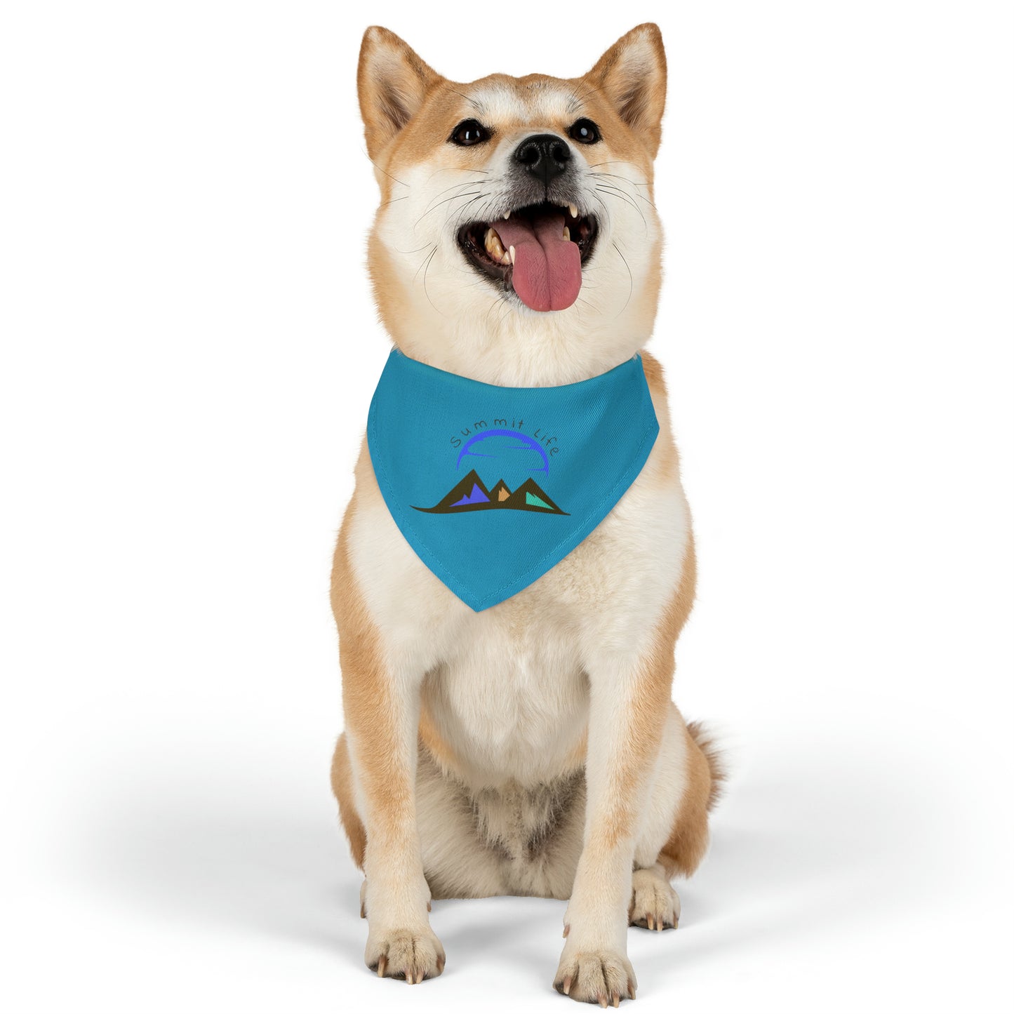 Summit Life Pet Bandana Collar - Turquoise