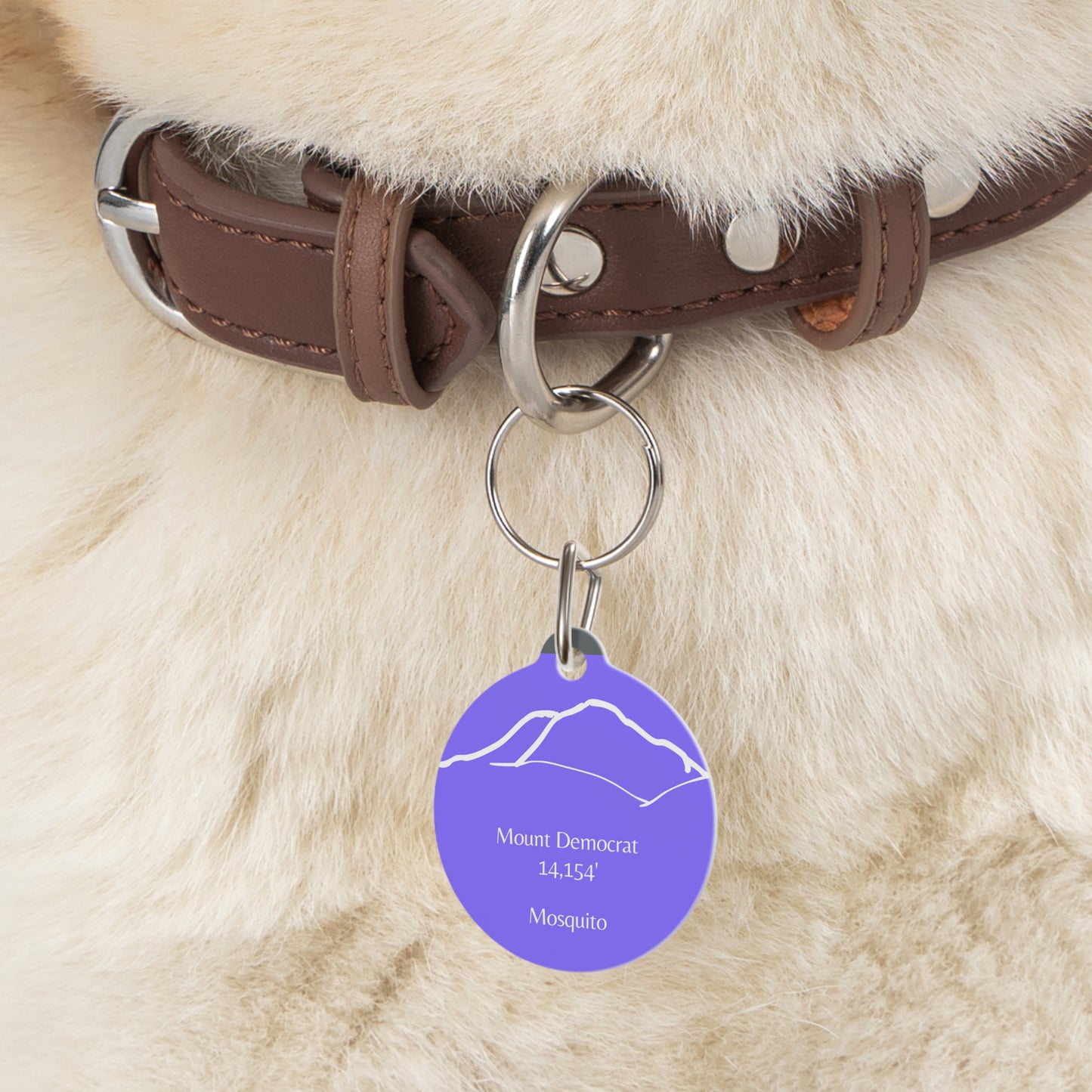 Mount Democrat Pet Tag