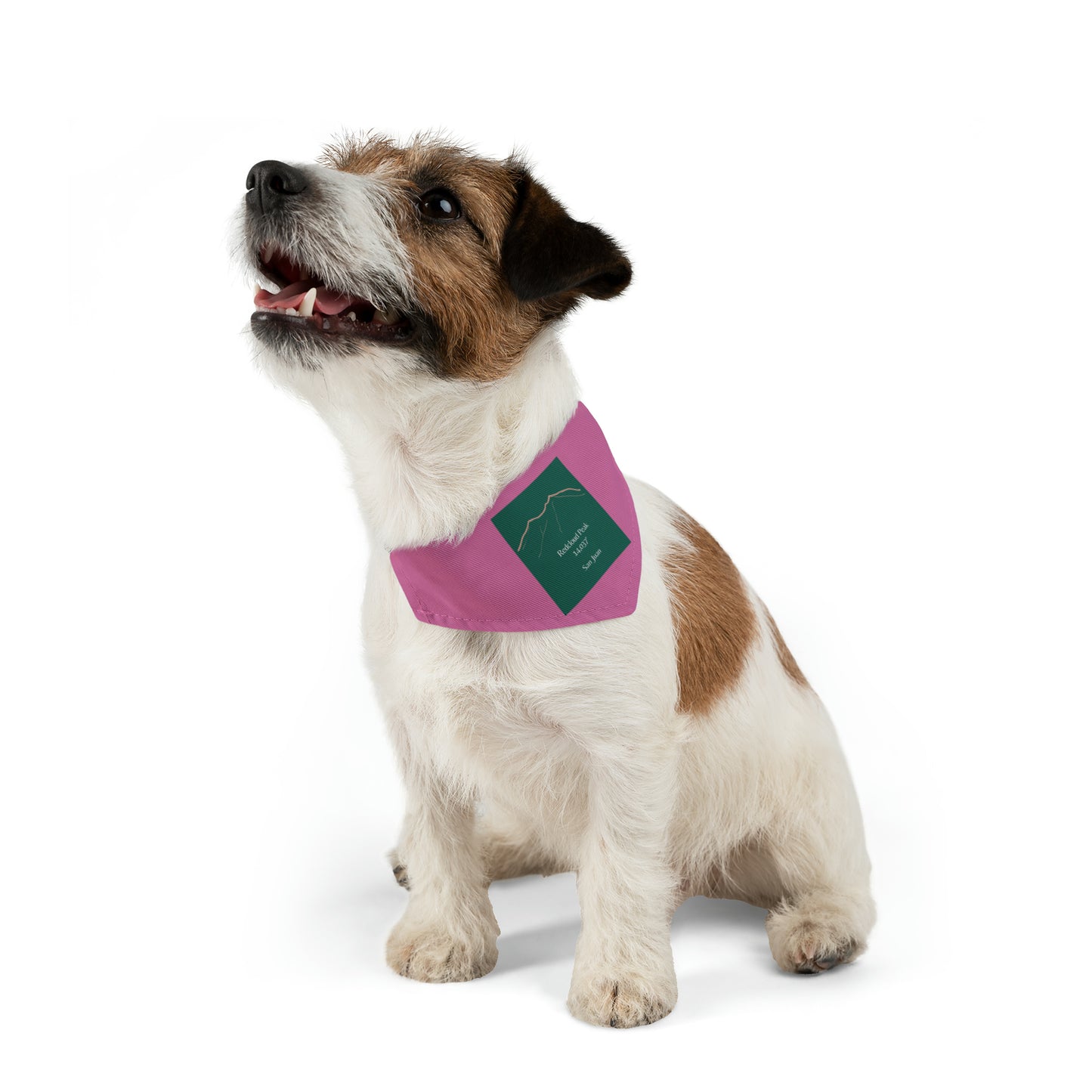 Redcloud Peak 14er Pet Bandana Collar