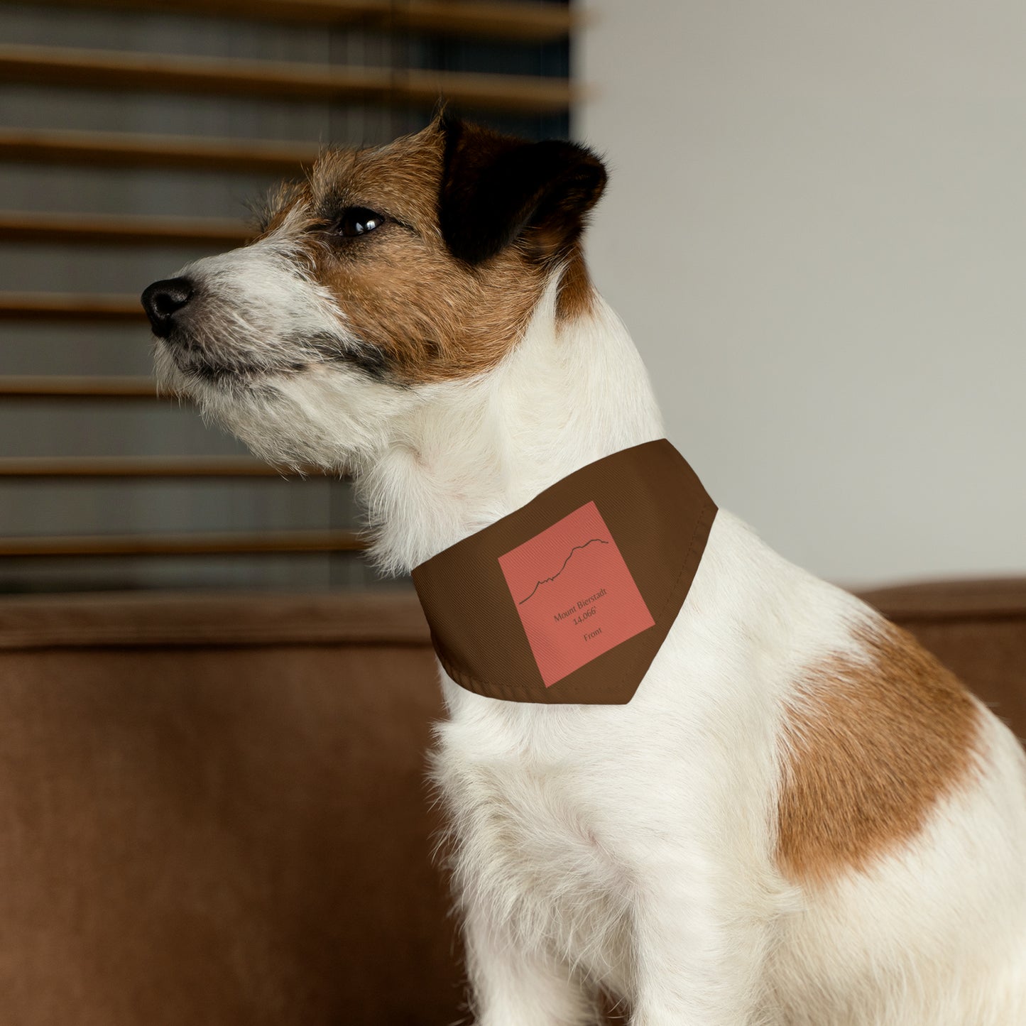 Mount Bierstadt 14er Pet Bandana Collar