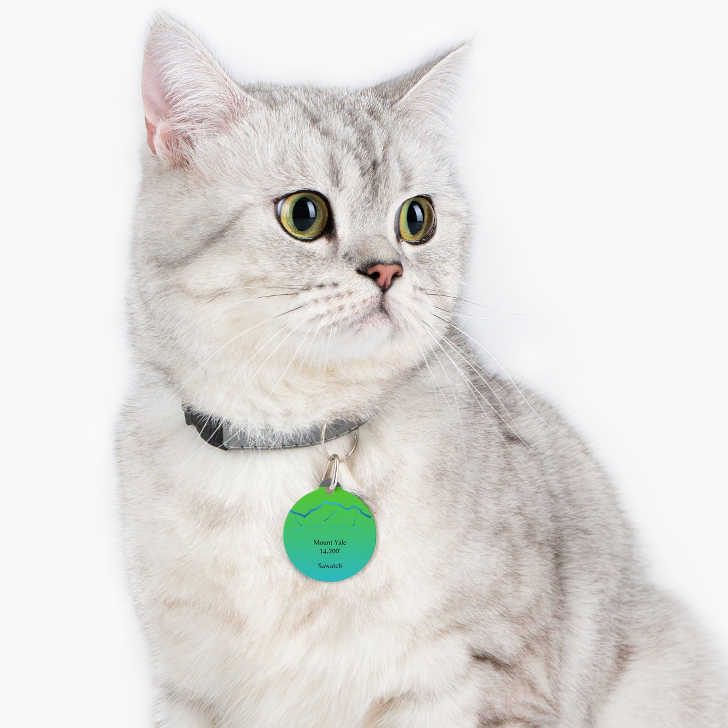 Mount Yale Pet Tag