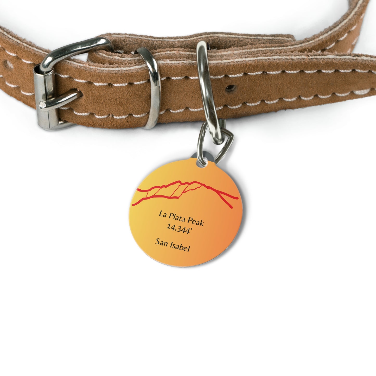 La Plata Peak Pet Tag