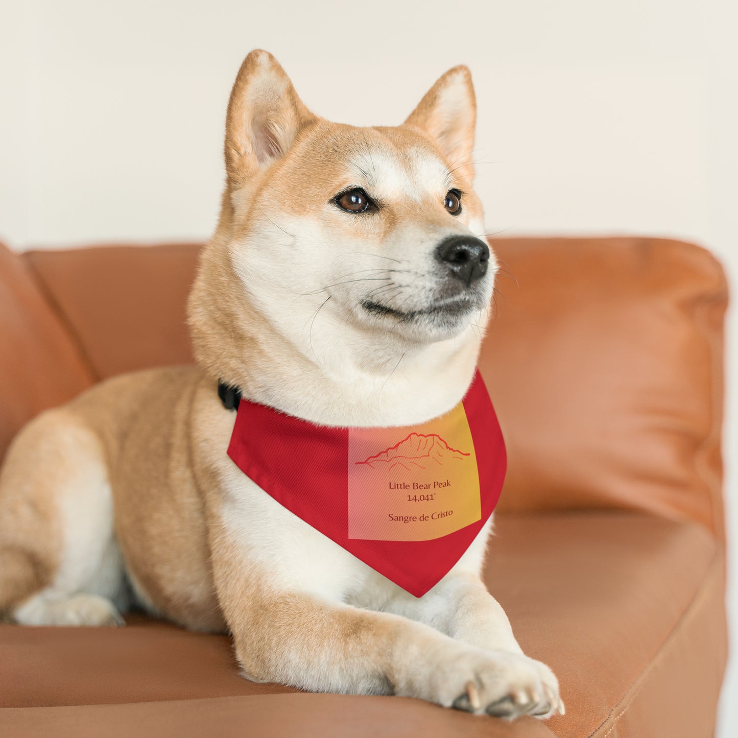 Little Bear Peak 14er Pet Bandana Collar