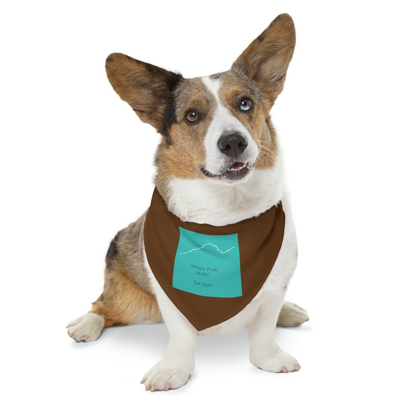 Sunlight Peak 14er Pet Bandana Collar