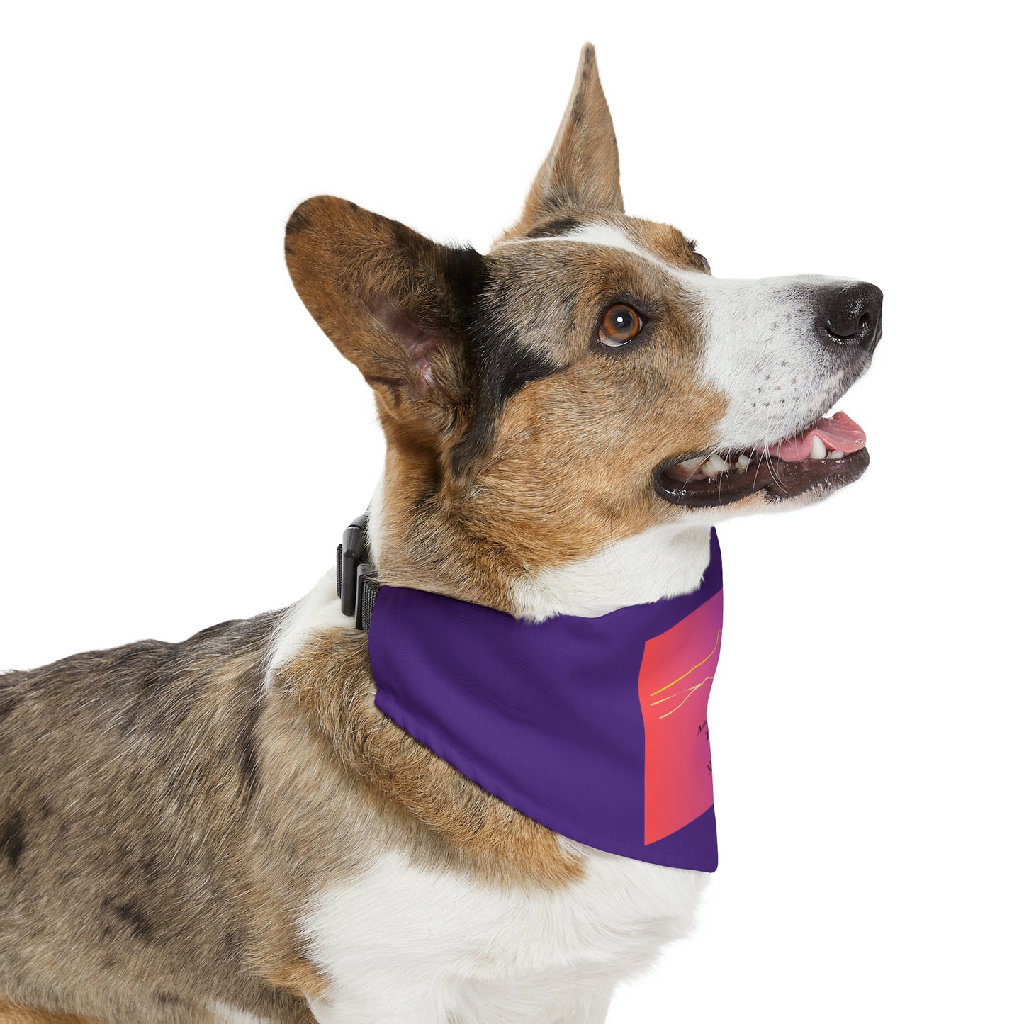 Mount Lincoln 14er Pet Bandana Collar