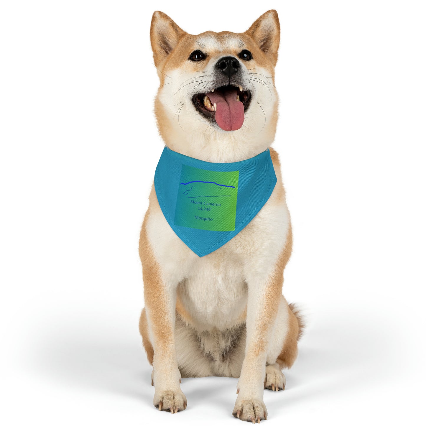 Mount Cameron 14er Pet Bandana Collar