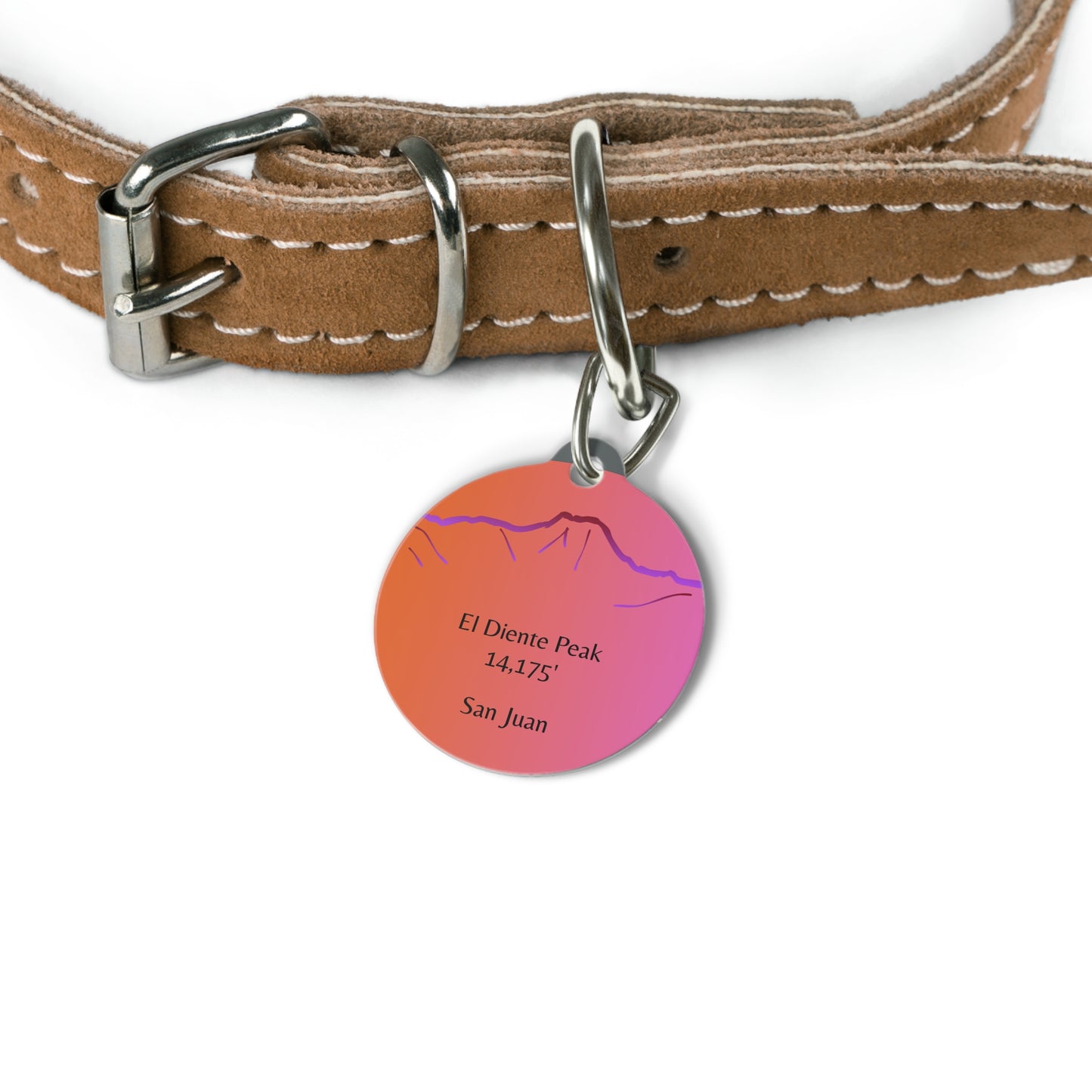 El Diente Peak Pet Tag