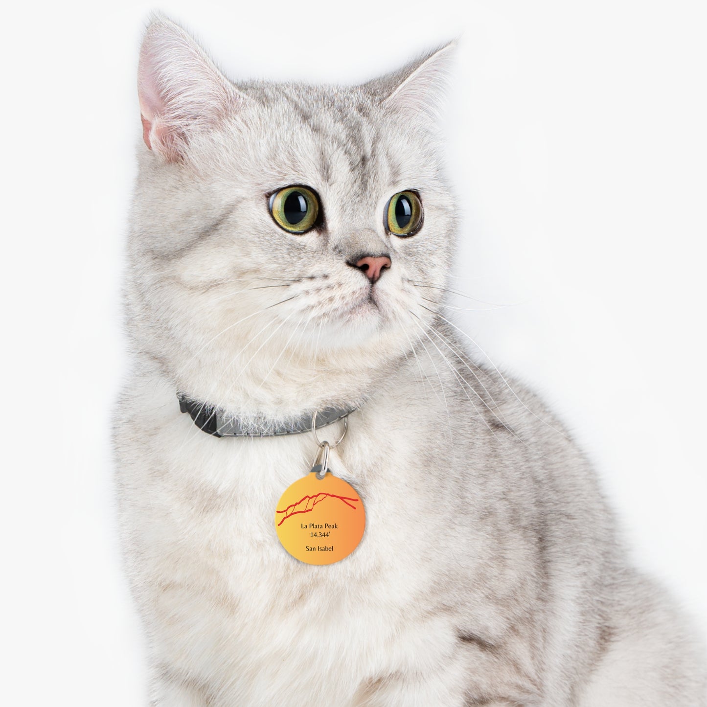 La Plata Peak Pet Tag