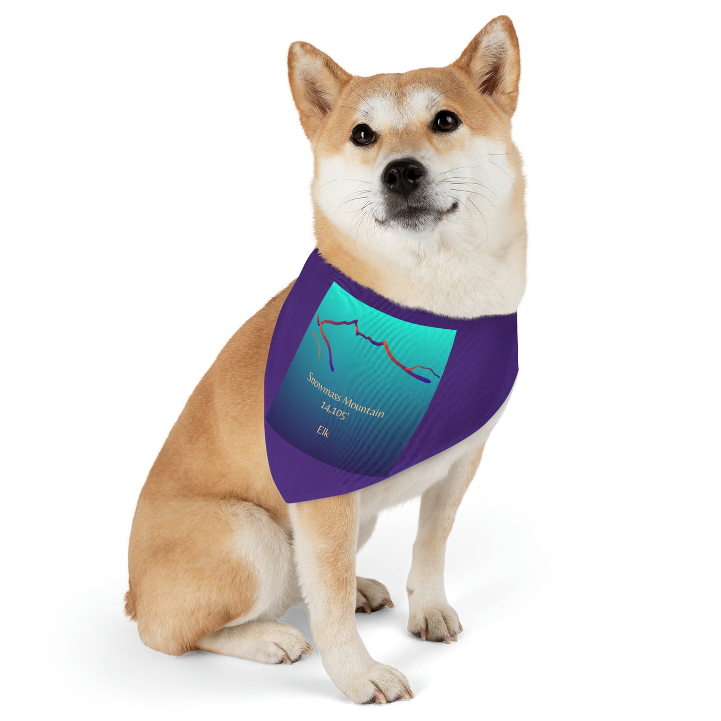 Snowmass Mountain 14er Pet Bandana Collar