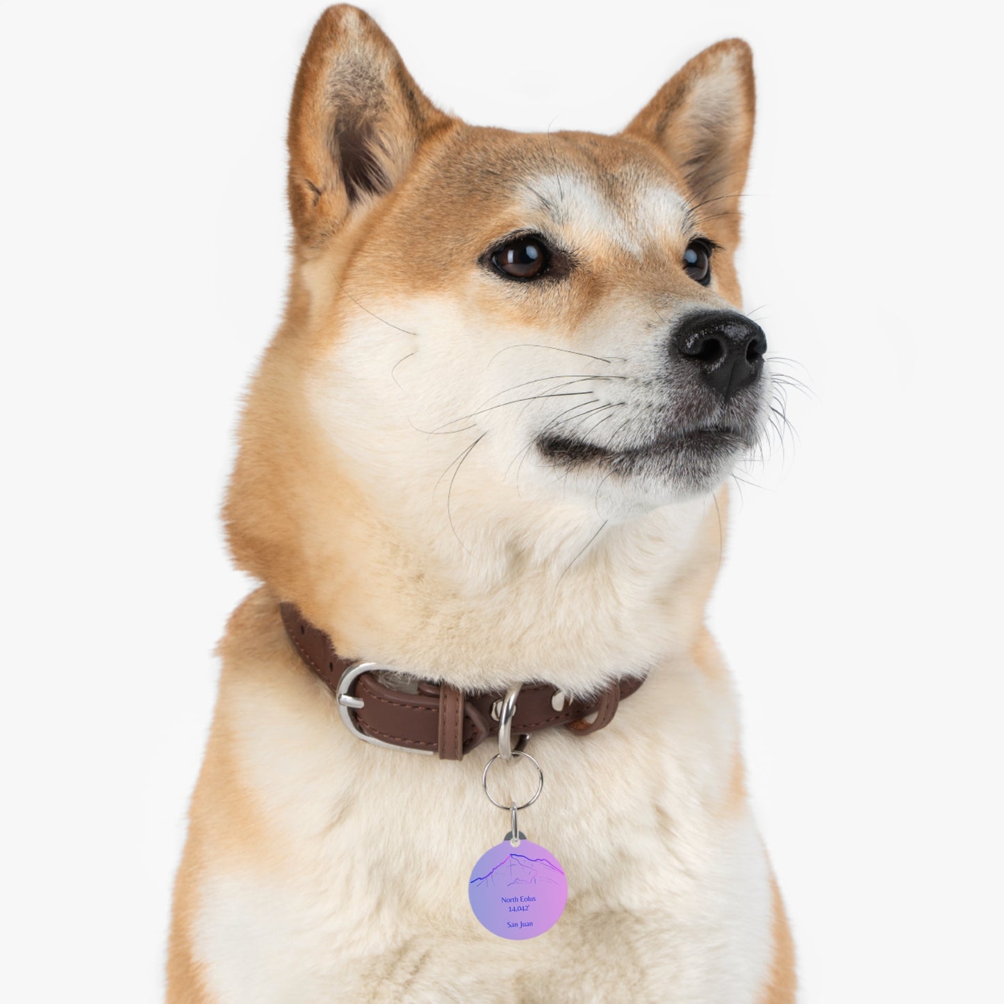 North Eolus Peak Pet Tag