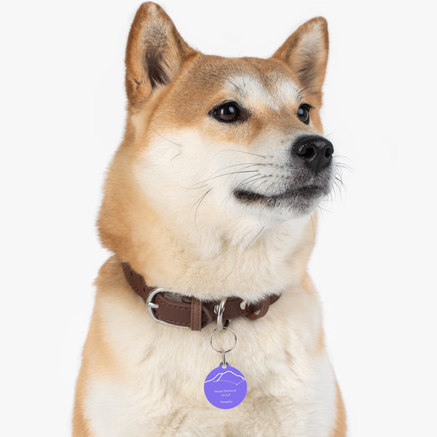 Mount Democrat Pet Tag