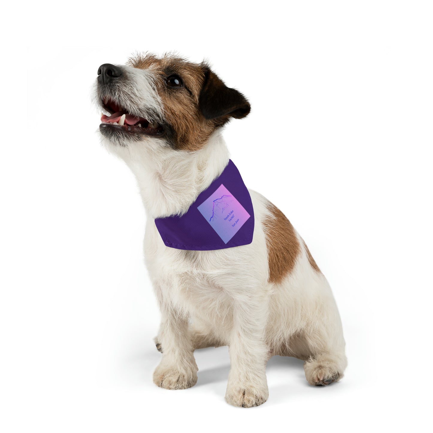 North Eolus 14er Pet Bandana Collar