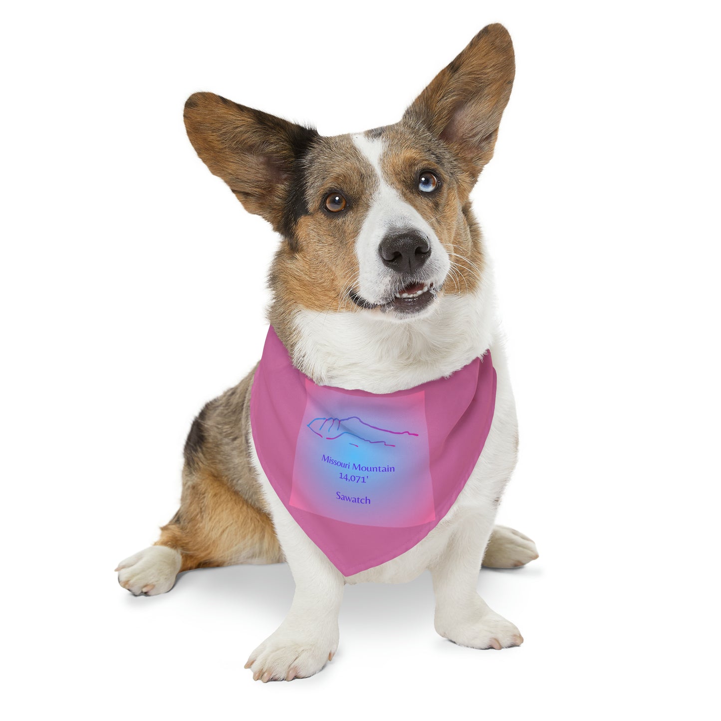 Missouri Mountain 14er Pet Bandana Collar