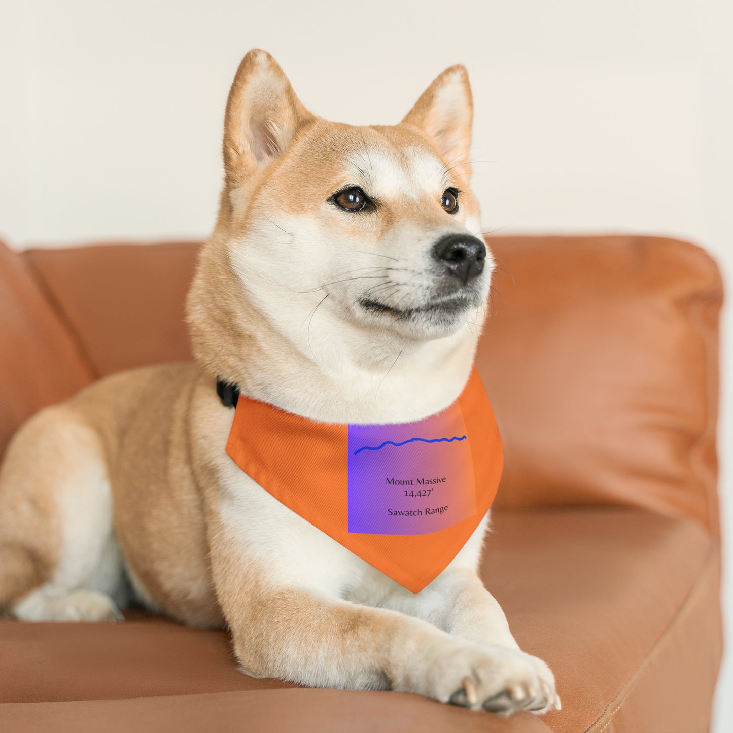 Mount Massive 14er Pet Bandana Collar