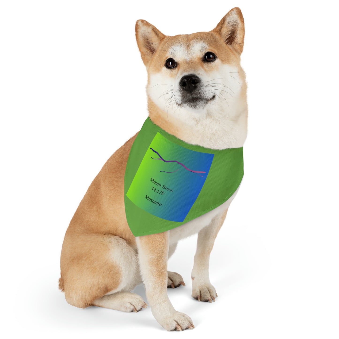 Mount Bross 14er Pet Bandana Collar