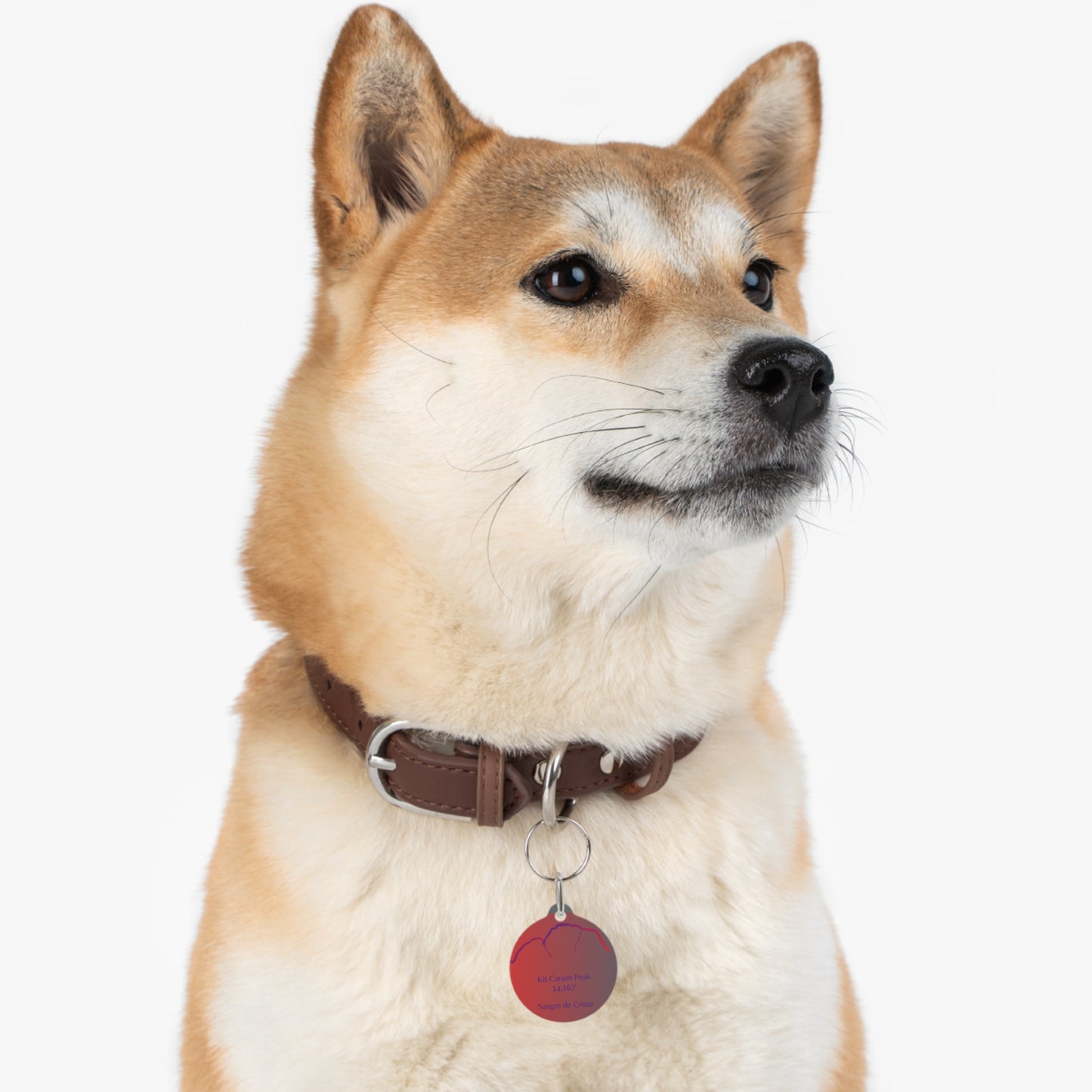 Kit Carson Peak Pet Tag