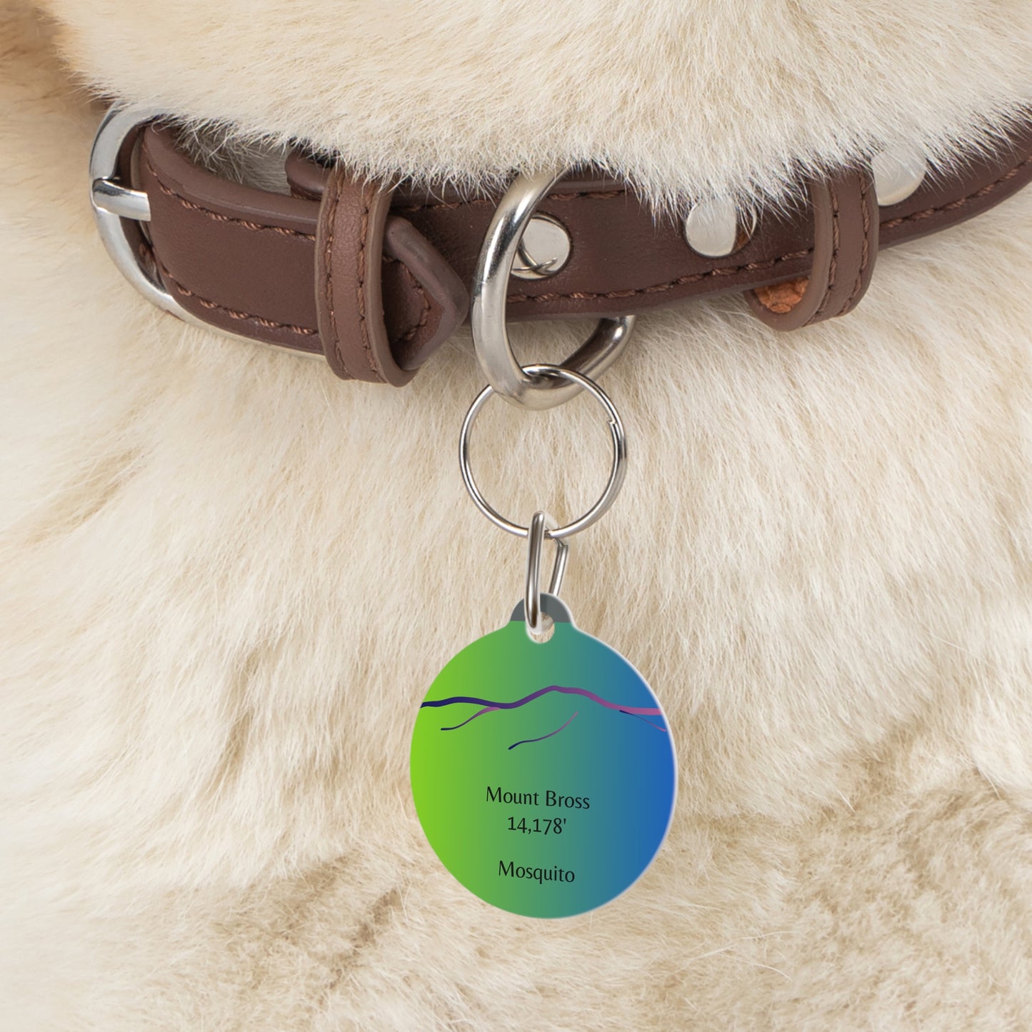 Mount Bross Pet Tag