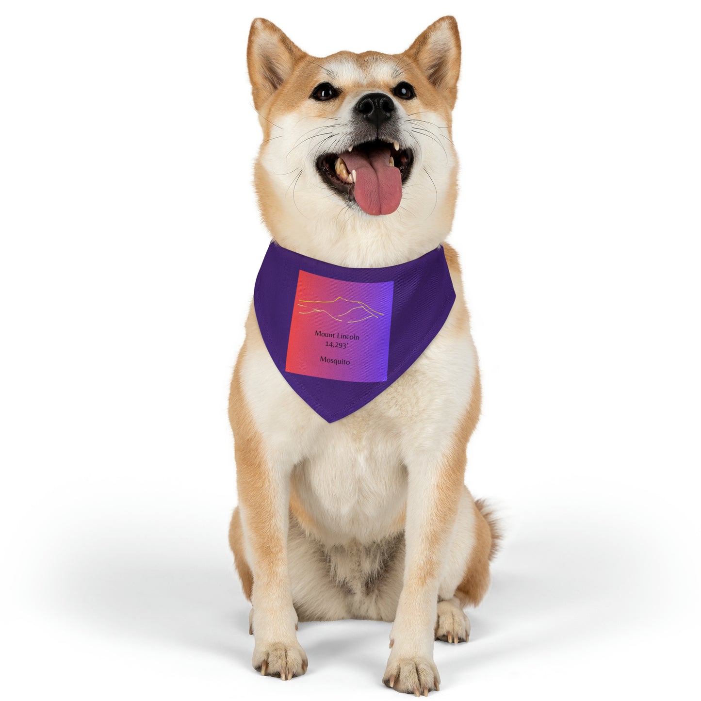 Mount Lincoln 14er Pet Bandana Collar