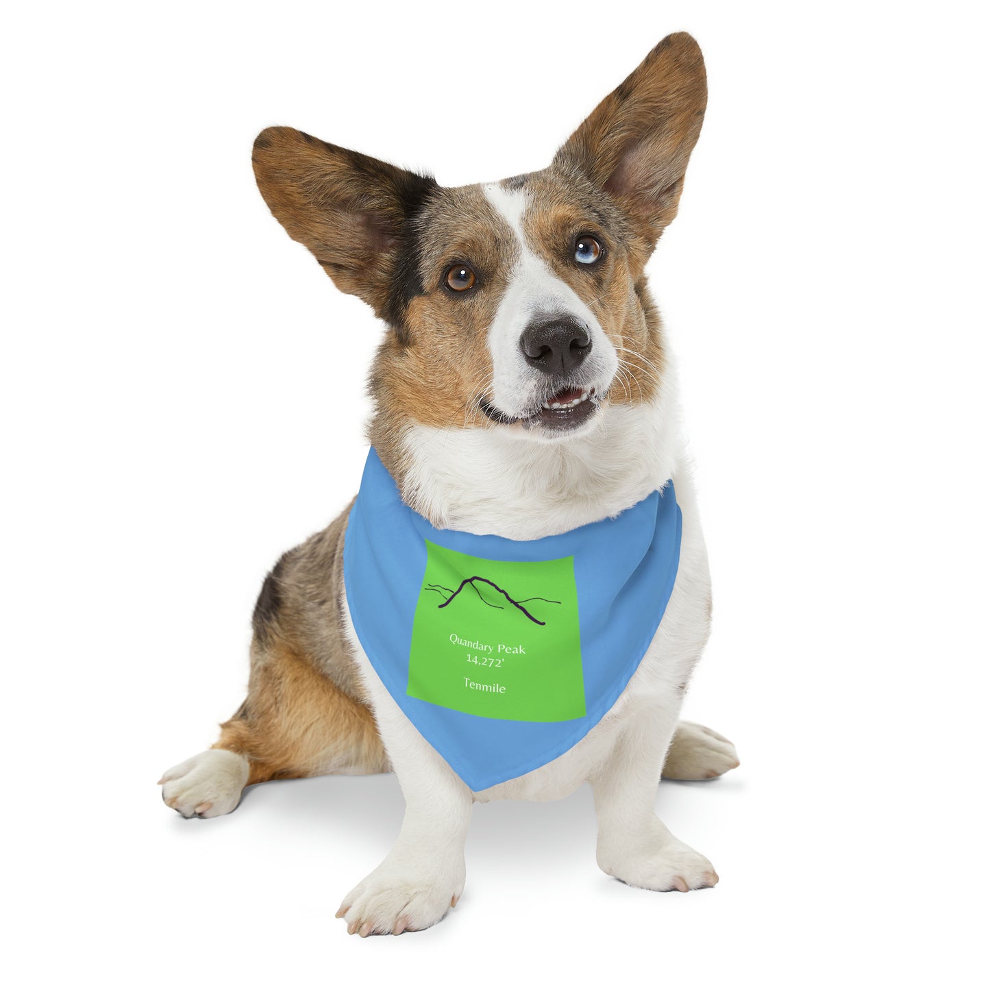 Quandary Peak 14er Pet Bandana Collar