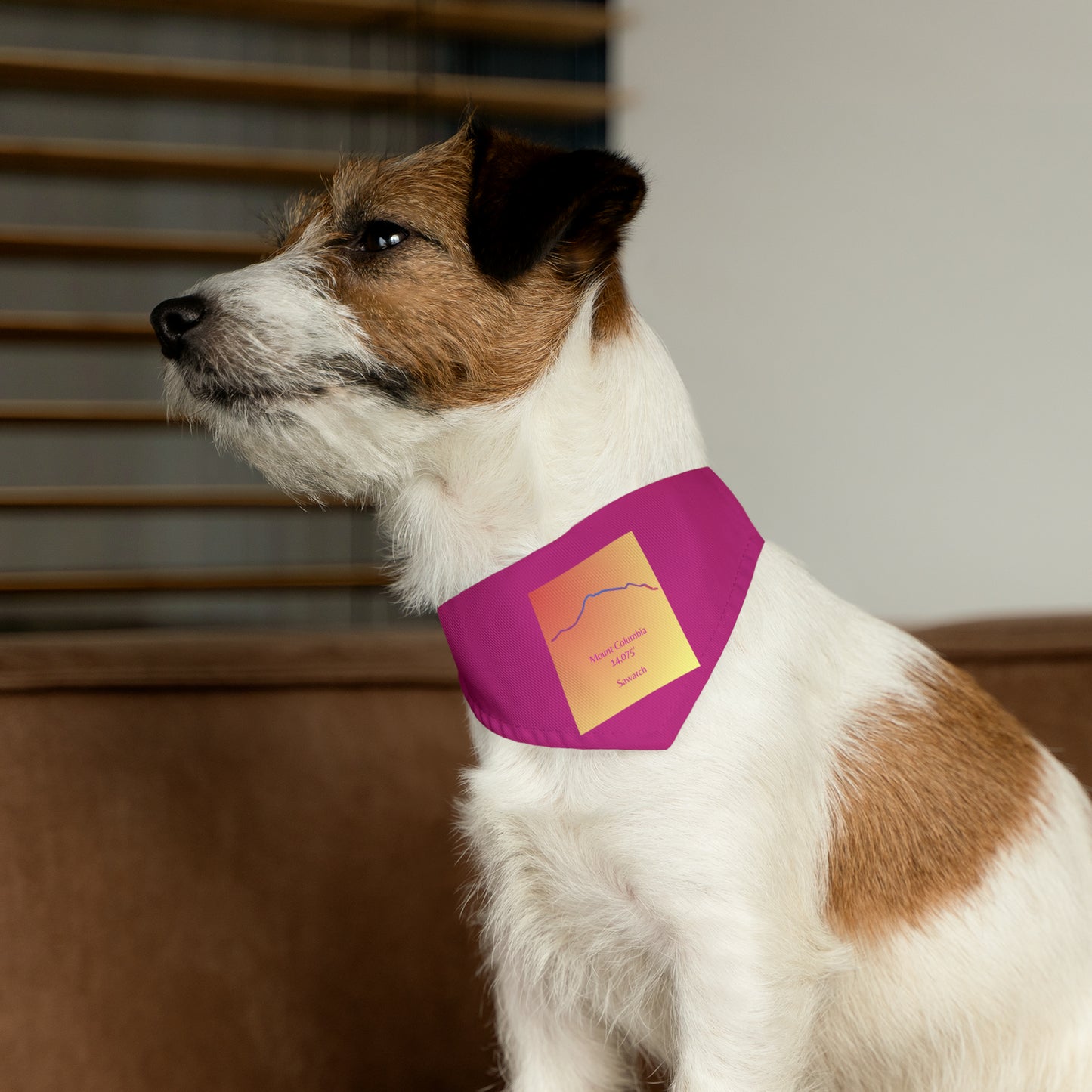 Mount Columbia 14er Pet Bandana Collar