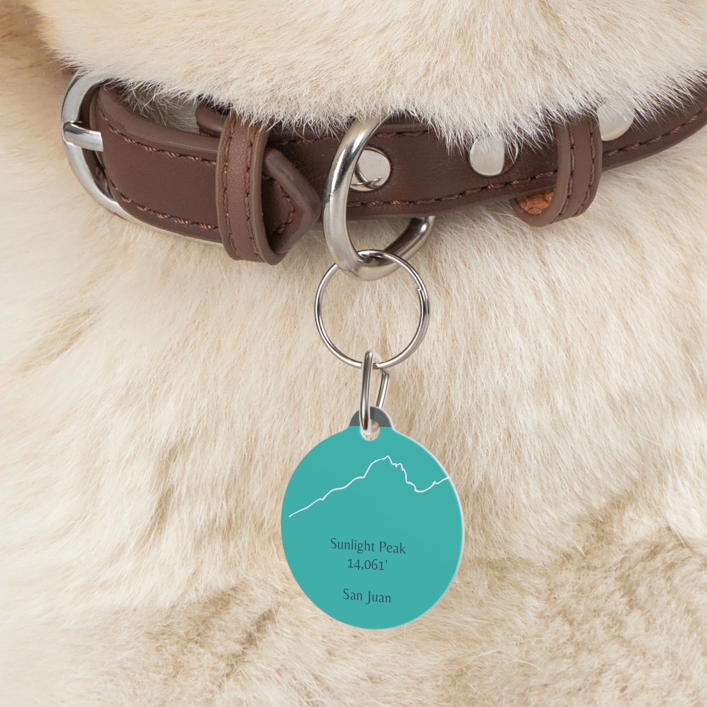 Sunlight Peak Pet Tag