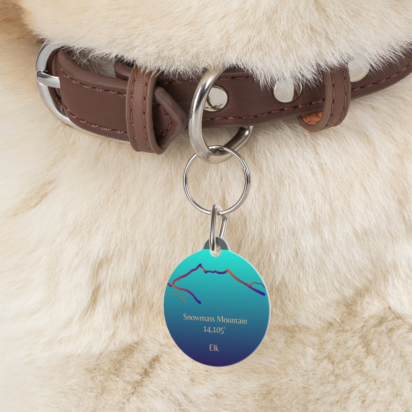 Snowmass Mountain Pet Tag