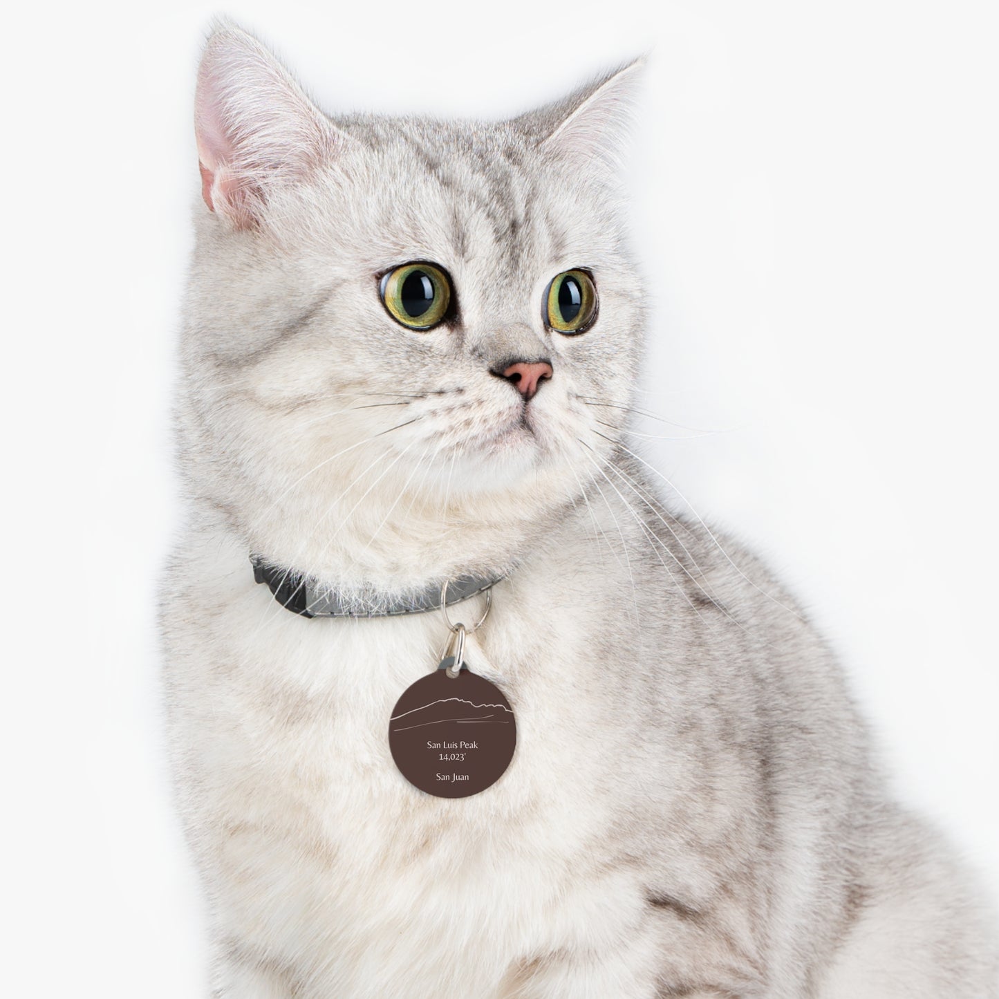 San Luis Peak Pet Tag