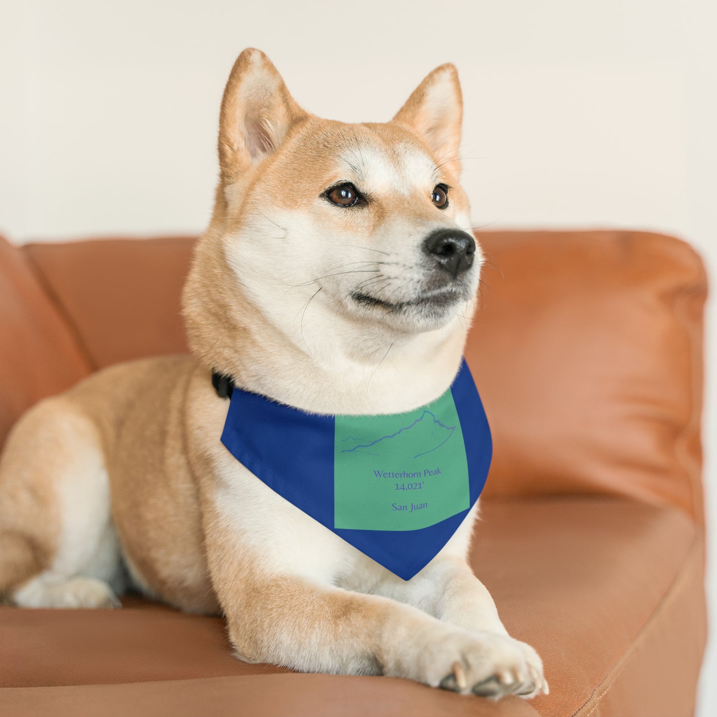 Wetterhorn Peak 14er Pet Bandana Collar