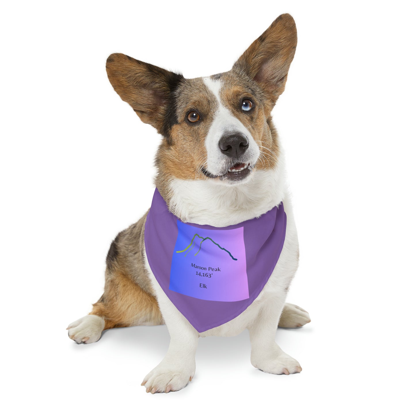 Maroon Peak 14er Pet Bandana Collar