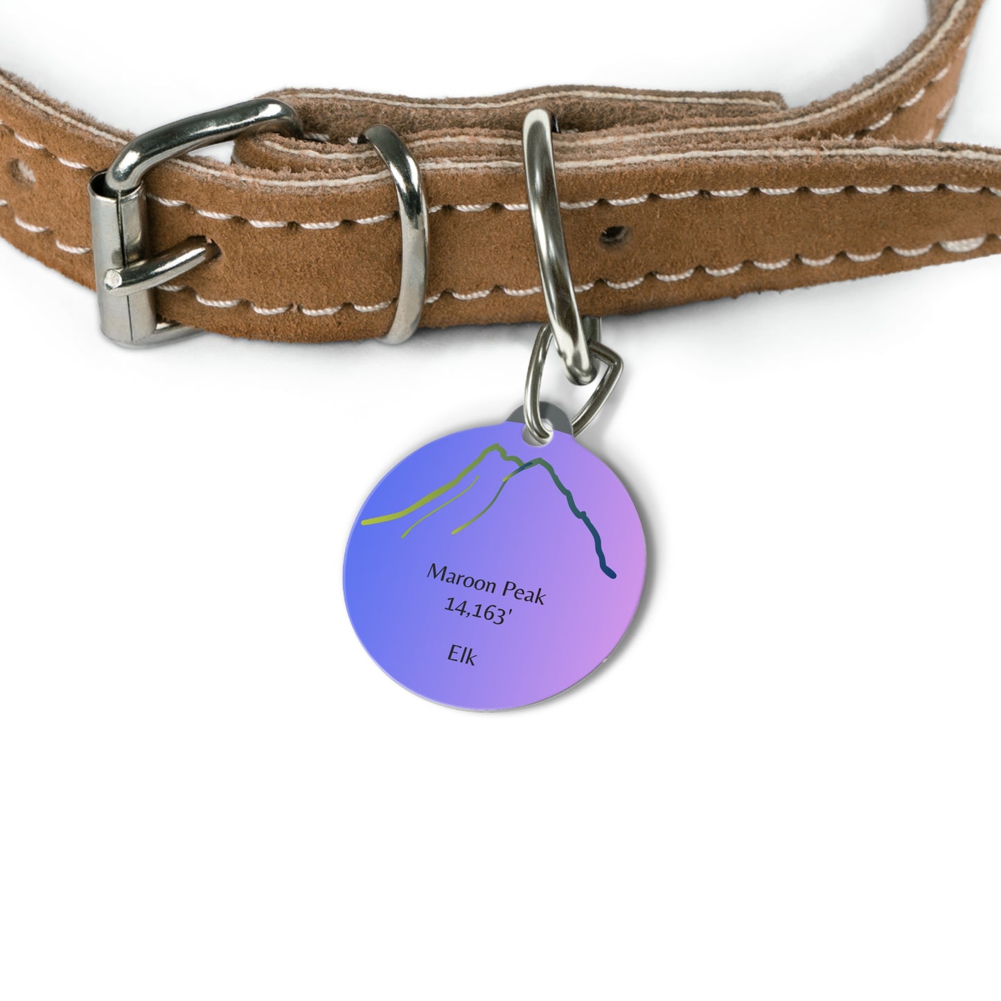 Maroon Peak Pet Tag