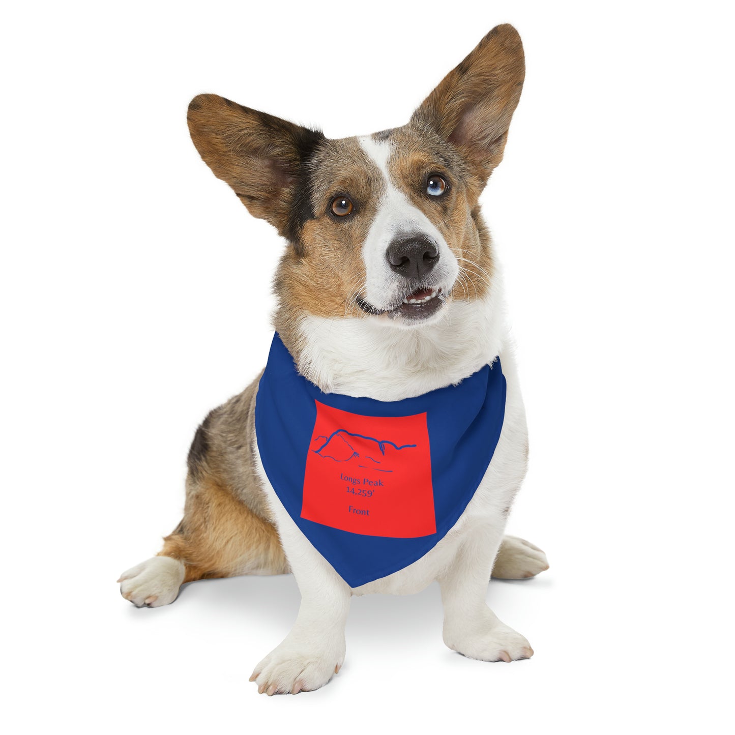 Longs Peak 14er Pet Bandana Collar