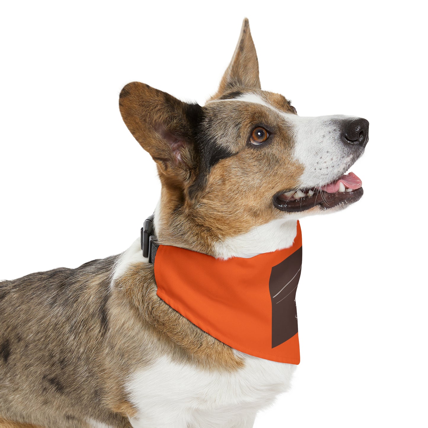 San Luis Peak 14er Pet Bandana Collar