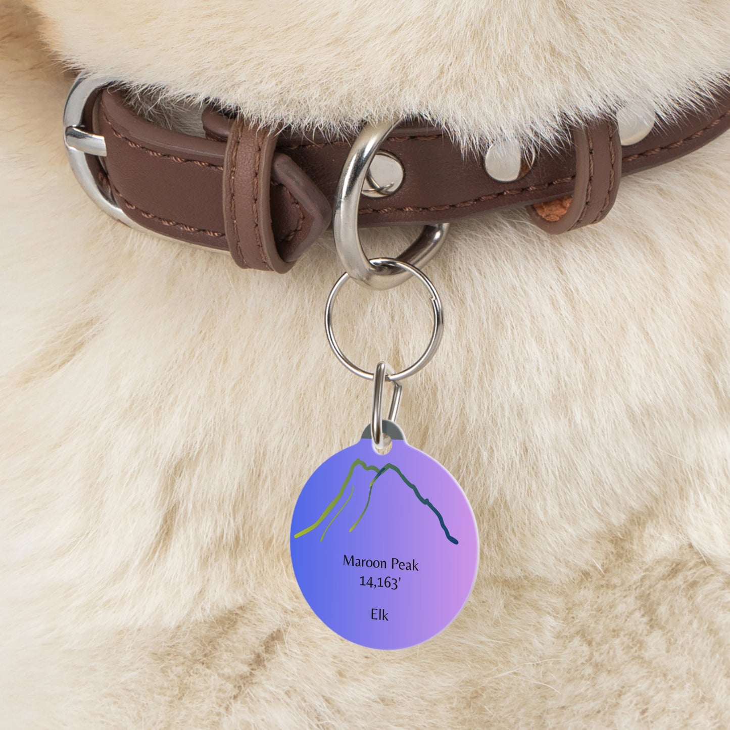 Maroon Peak Pet Tag