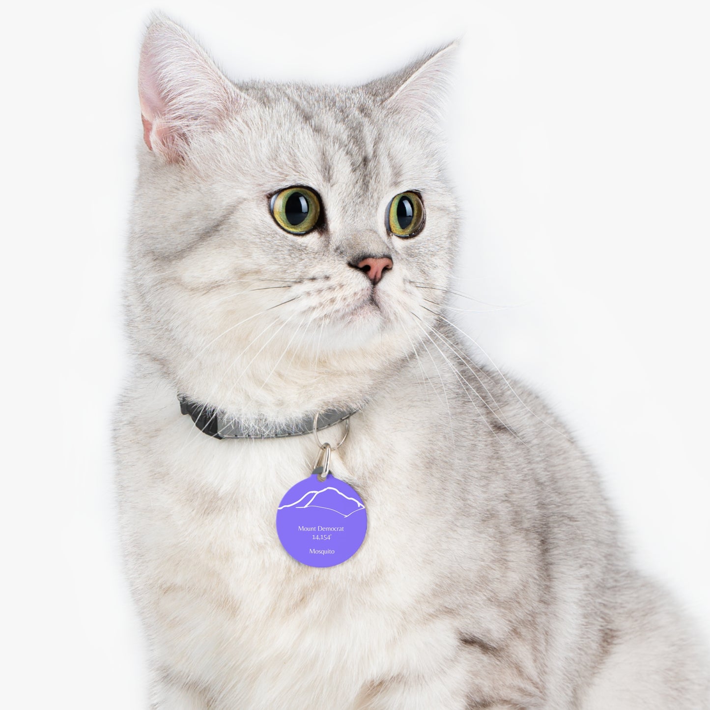 Mount Democrat Pet Tag