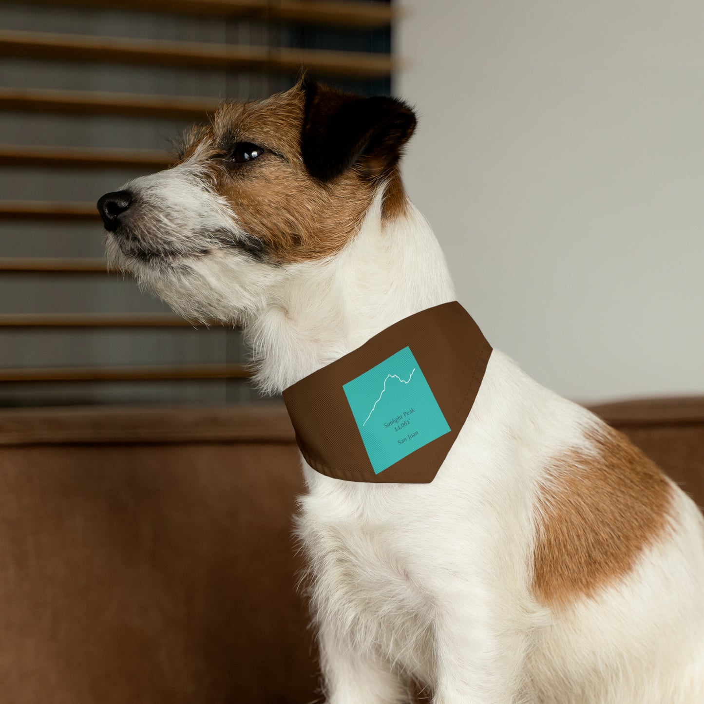 Sunlight Peak 14er Pet Bandana Collar