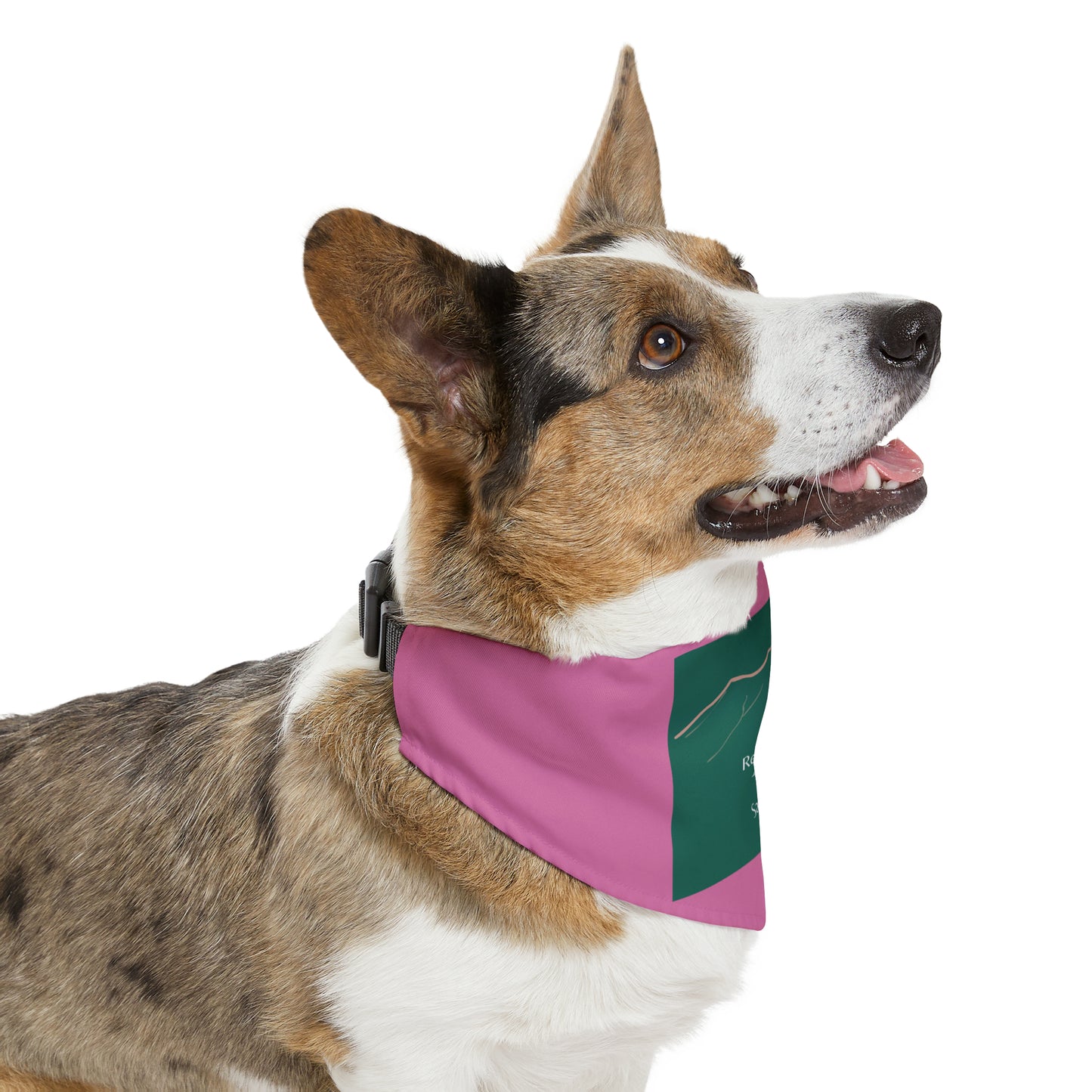 Redcloud Peak 14er Pet Bandana Collar