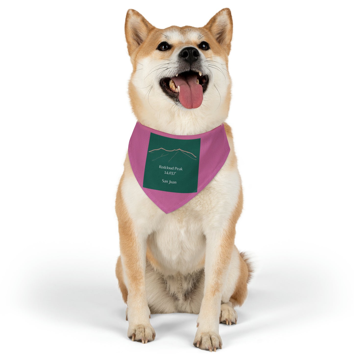 Redcloud Peak 14er Pet Bandana Collar