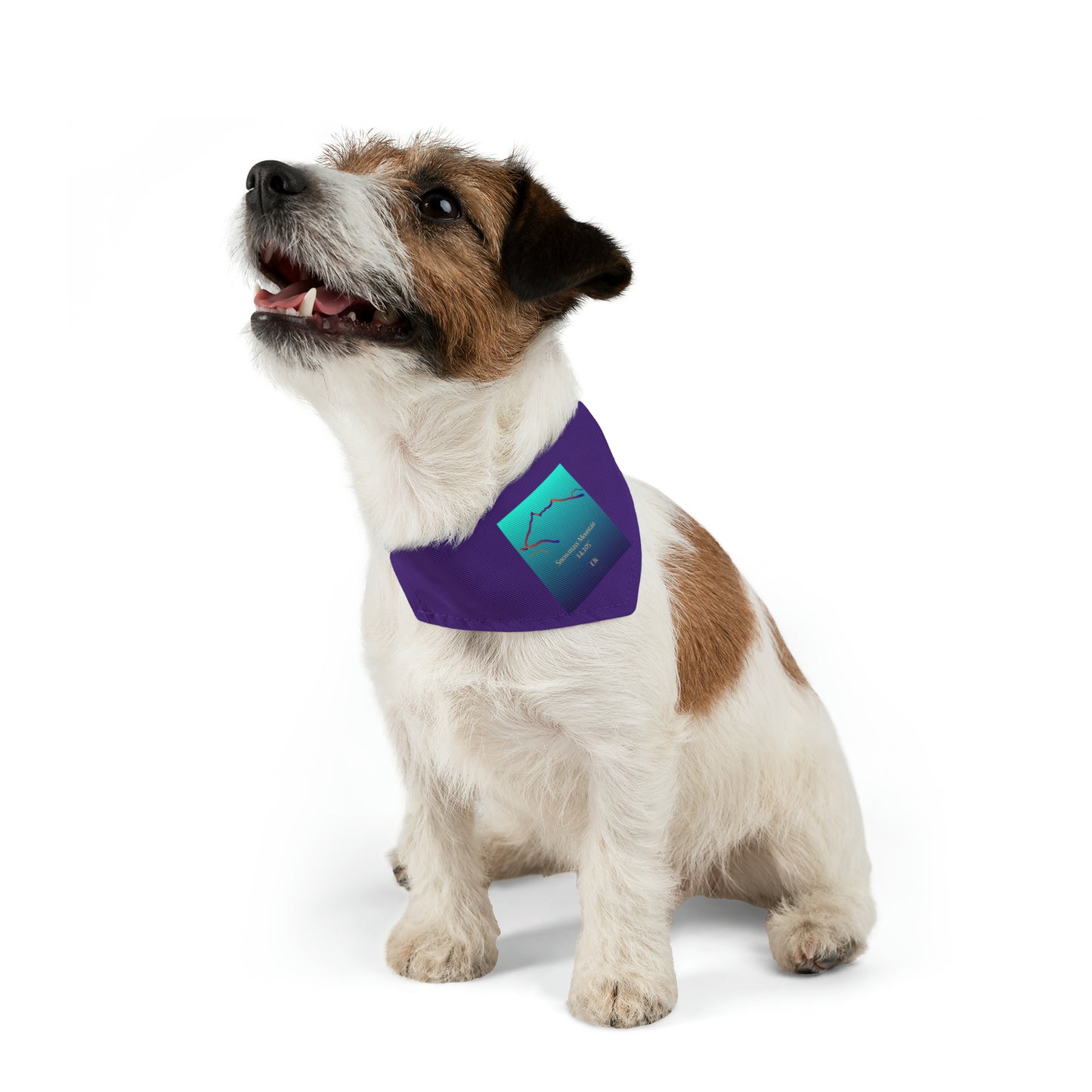 Snowmass Mountain 14er Pet Bandana Collar