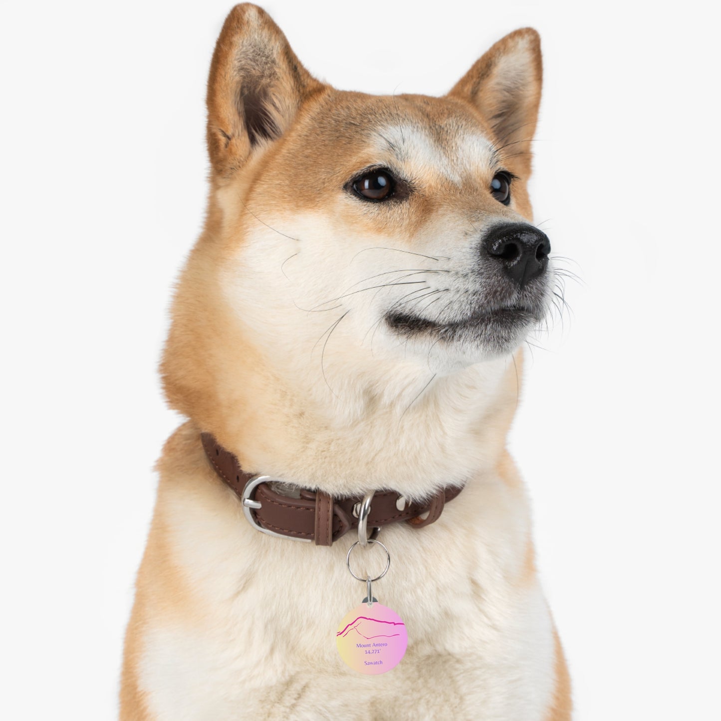 Mount Antero Pet Tag