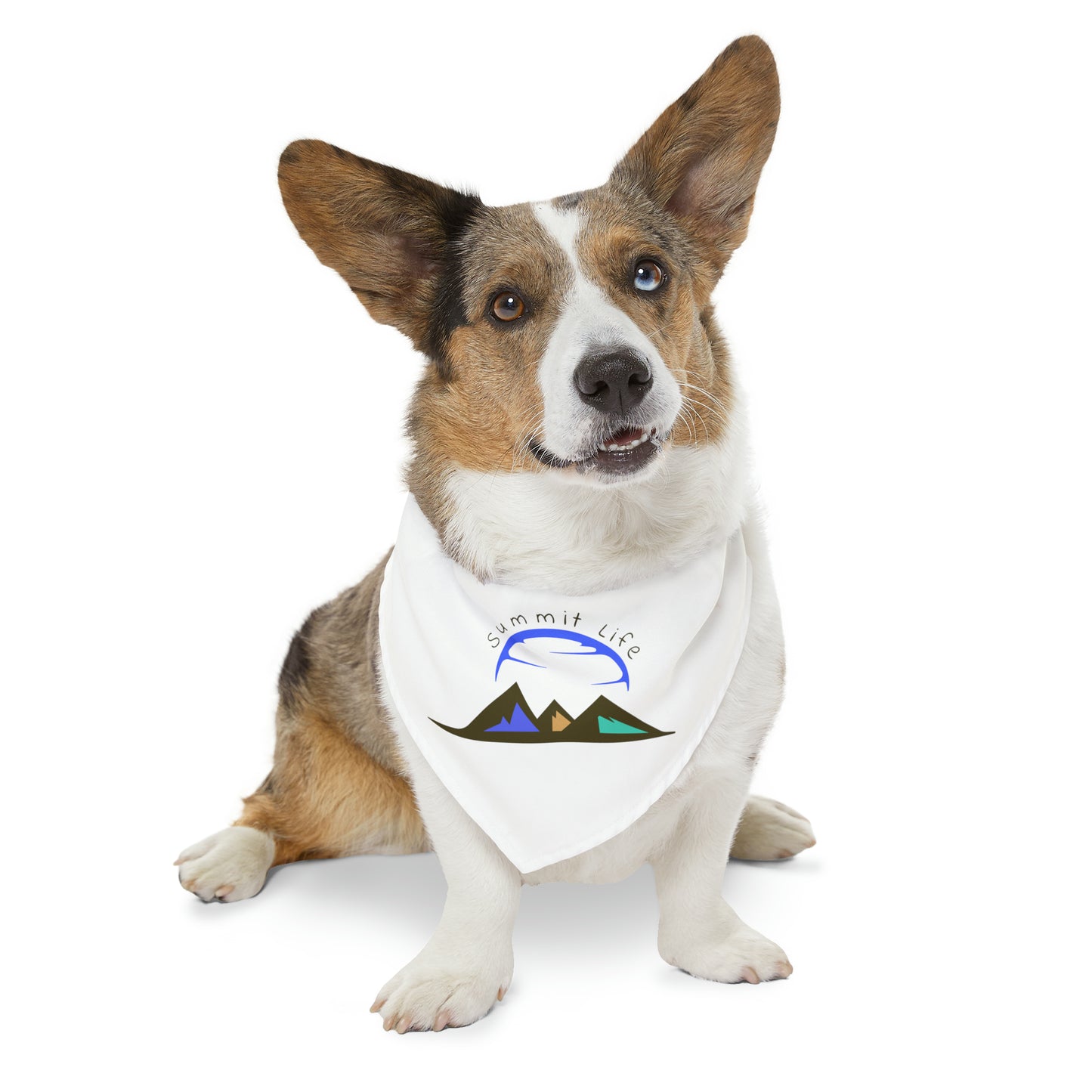 Summit Life Pet Bandana Collar