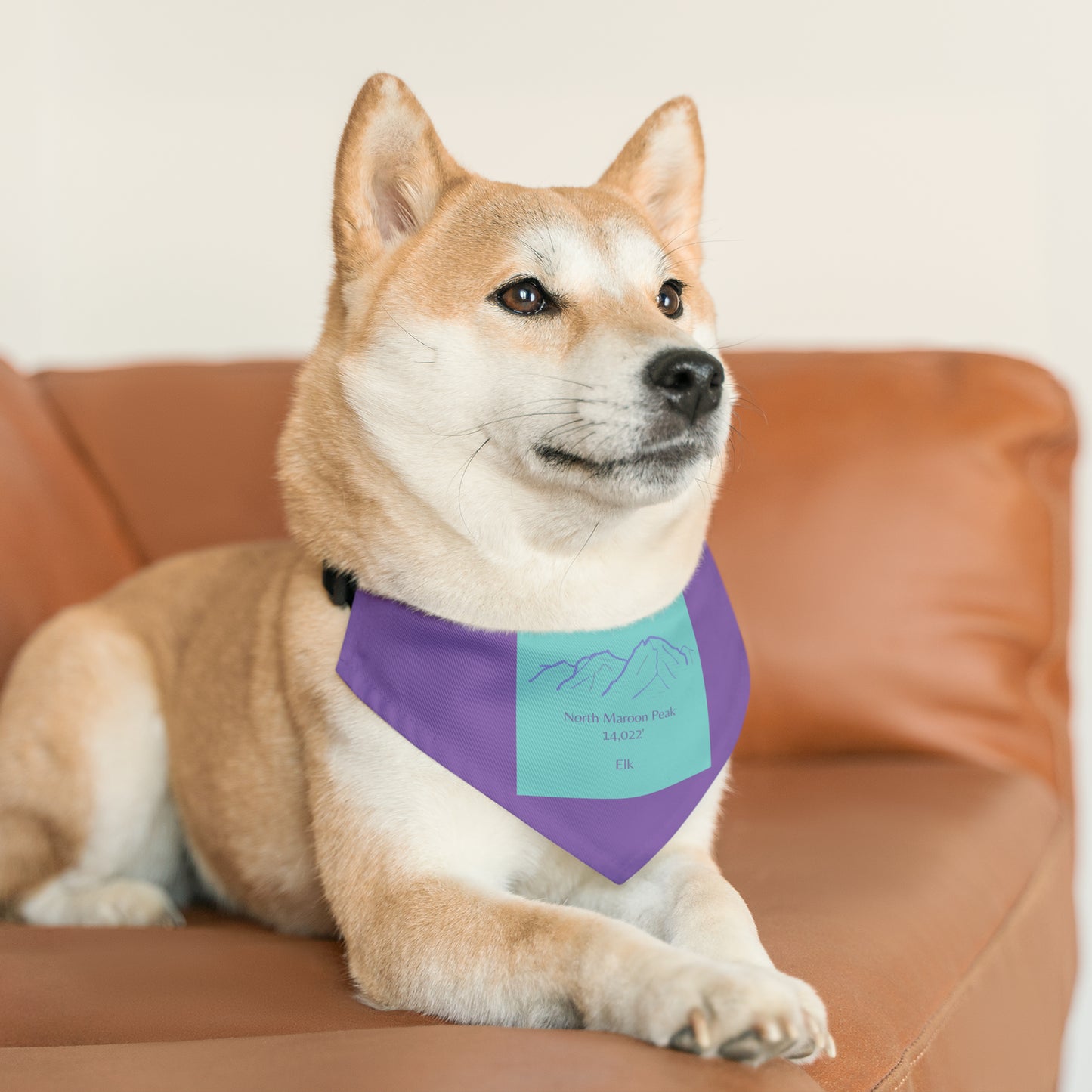 North Maroon Peak 14er Pet Bandana Collar