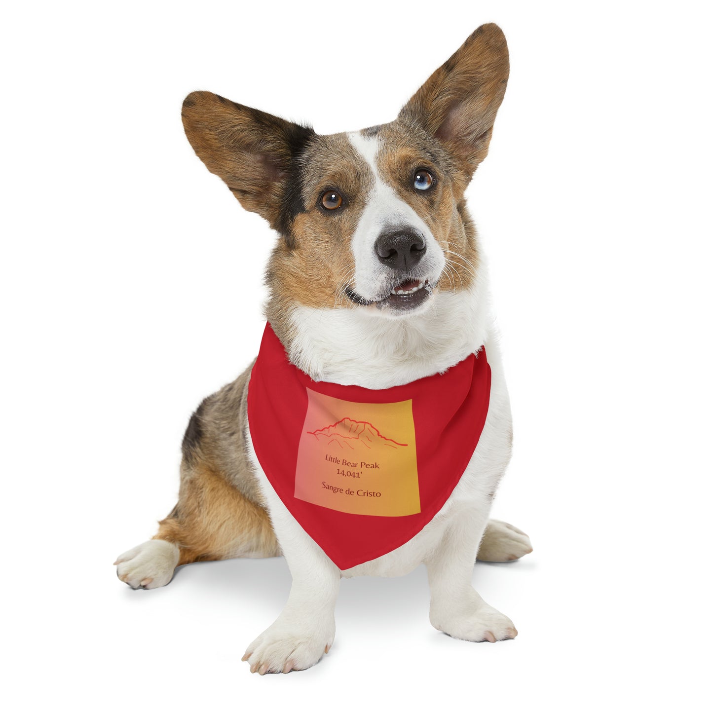 Little Bear Peak 14er Pet Bandana Collar