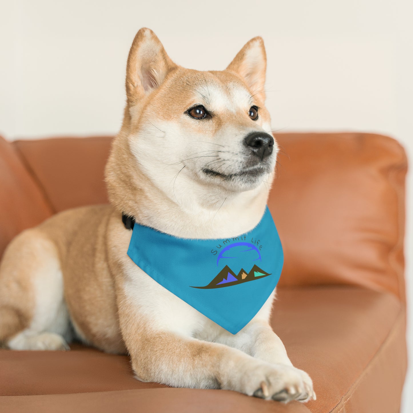 Summit Life Pet Bandana Collar - Turquoise