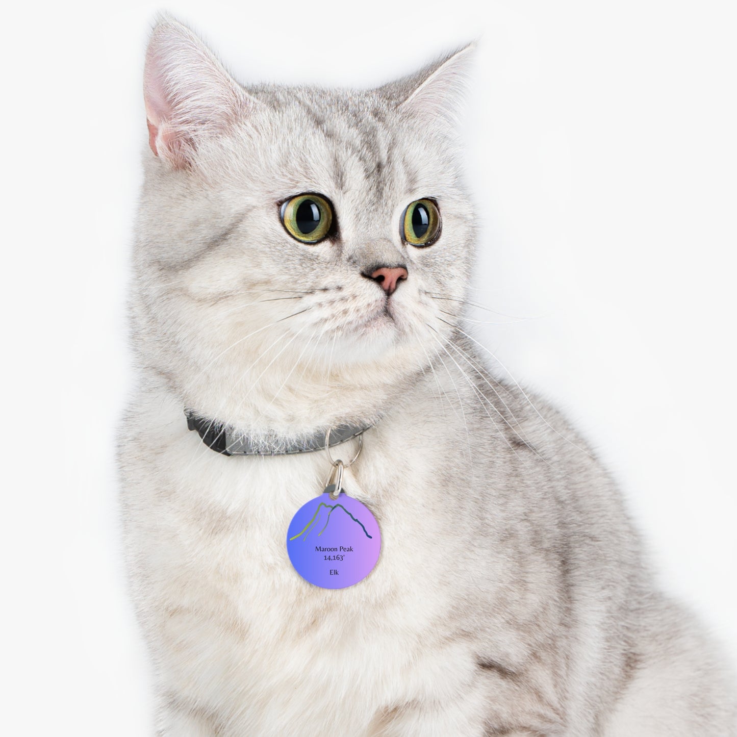 Maroon Peak Pet Tag